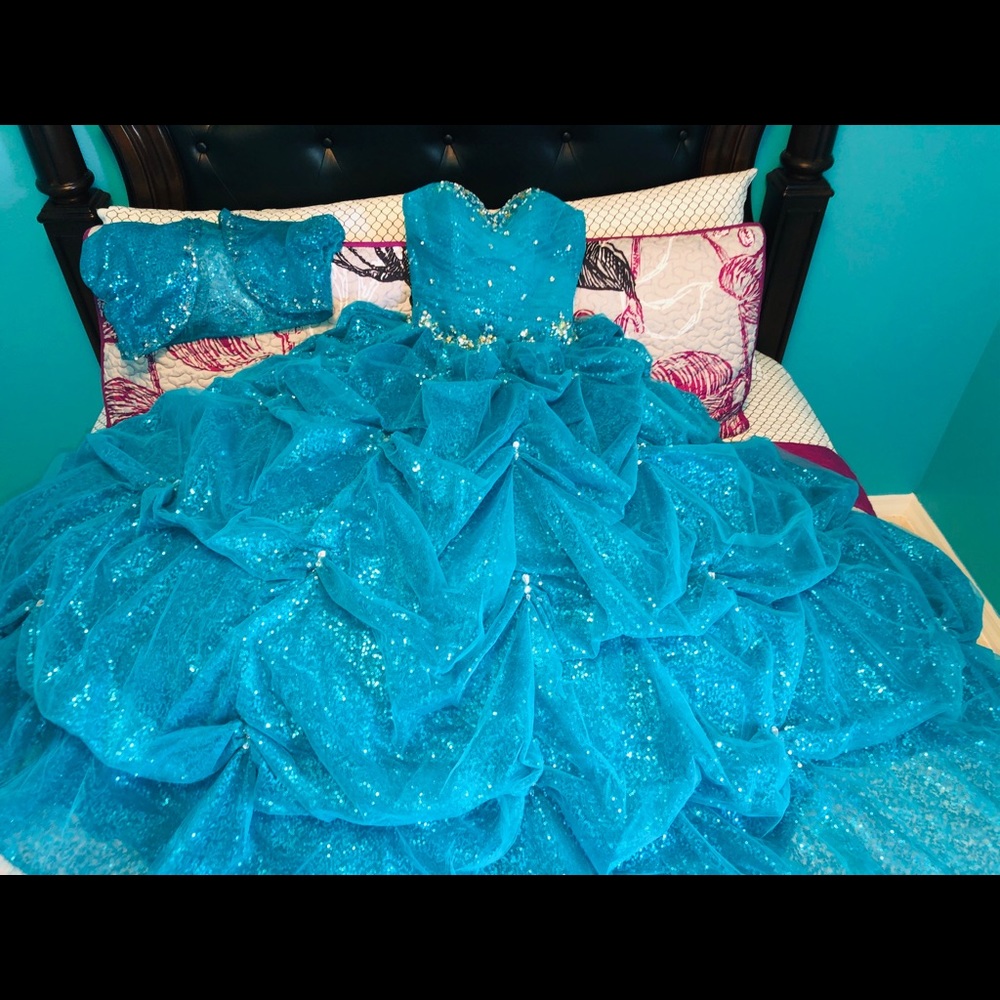 Quinceañera/Sweet 16 Dress - Only Worn Once!